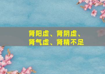 肾阳虚、肾阴虚、肾气虚、肾精不足