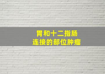 胃和十二指肠连接的部位肿瘤