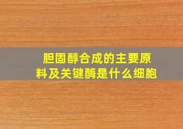 胆固醇合成的主要原料及关键酶是什么细胞