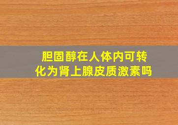 胆固醇在人体内可转化为肾上腺皮质激素吗