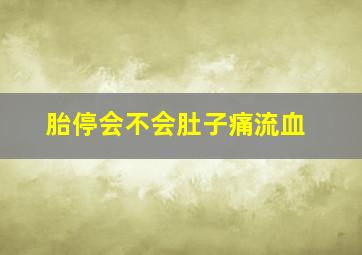 胎停会不会肚子痛流血