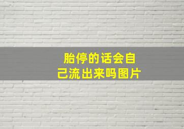 胎停的话会自己流出来吗图片