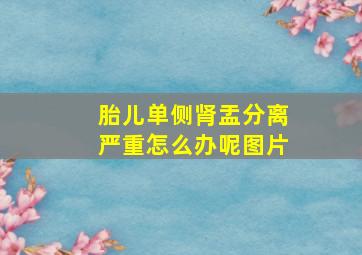 胎儿单侧肾盂分离严重怎么办呢图片