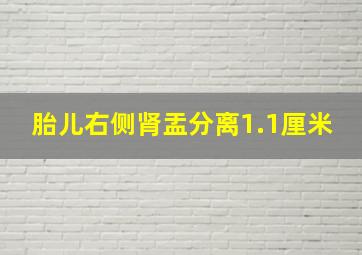 胎儿右侧肾盂分离1.1厘米