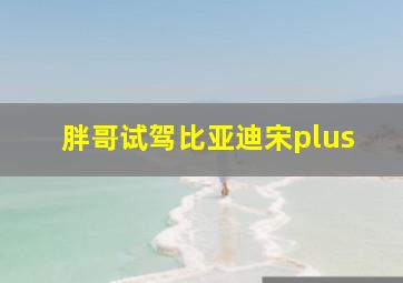 胖哥试驾比亚迪宋plus