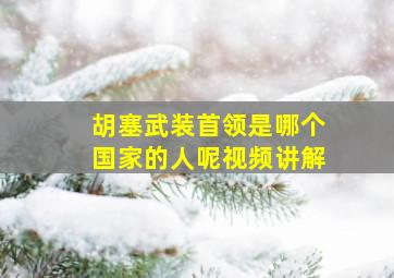 胡塞武装首领是哪个国家的人呢视频讲解