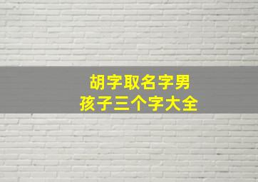 胡字取名字男孩子三个字大全