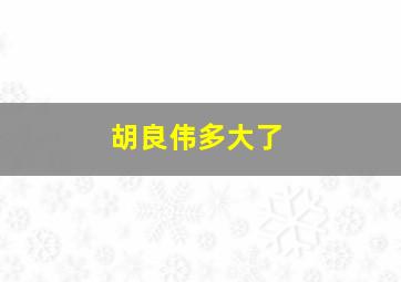 胡良伟多大了