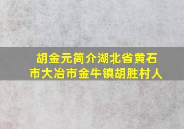 胡金元简介湖北省黄石市大冶市金牛镇胡胜村人