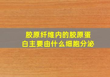 胶原纤维内的胶原蛋白主要由什么细胞分泌