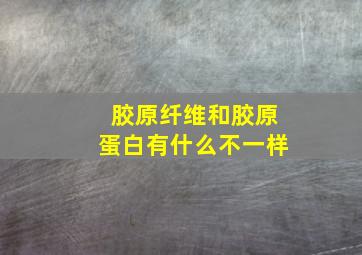 胶原纤维和胶原蛋白有什么不一样