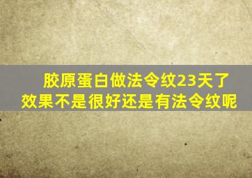 胶原蛋白做法令纹23天了效果不是很好还是有法令纹呢