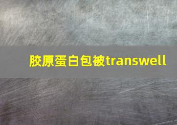 胶原蛋白包被transwell