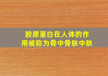 胶原蛋白在人体的作用被称为骨中骨肤中肤