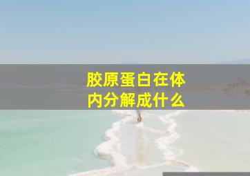 胶原蛋白在体内分解成什么