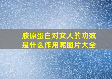 胶原蛋白对女人的功效是什么作用呢图片大全