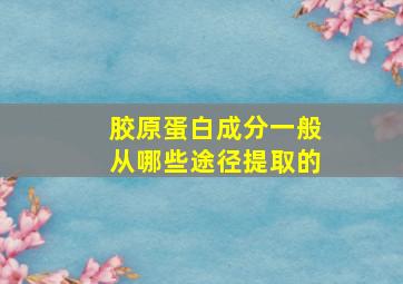 胶原蛋白成分一般从哪些途径提取的