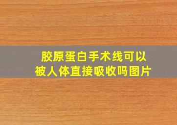 胶原蛋白手术线可以被人体直接吸收吗图片