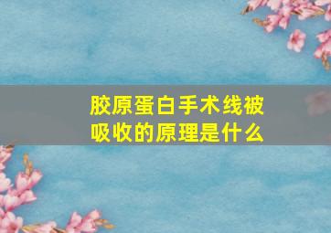 胶原蛋白手术线被吸收的原理是什么