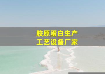 胶原蛋白生产工艺设备厂家