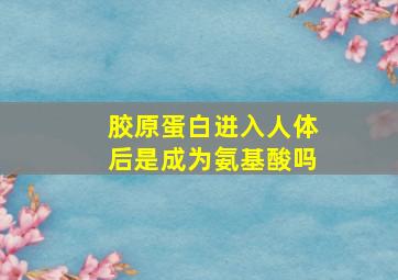 胶原蛋白进入人体后是成为氨基酸吗