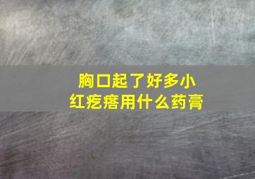 胸口起了好多小红疙瘩用什么药膏