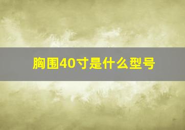 胸围40寸是什么型号