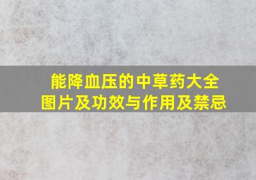 能降血压的中草药大全图片及功效与作用及禁忌