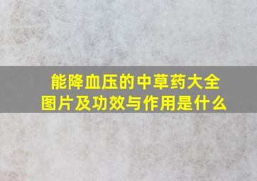 能降血压的中草药大全图片及功效与作用是什么