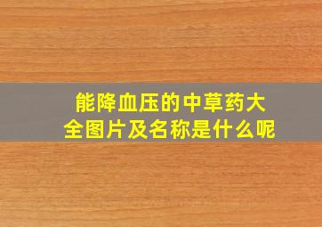 能降血压的中草药大全图片及名称是什么呢