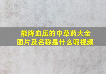 能降血压的中草药大全图片及名称是什么呢视频