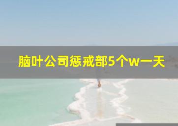 脑叶公司惩戒部5个w一天