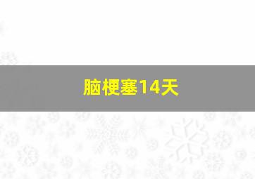 脑梗塞14天