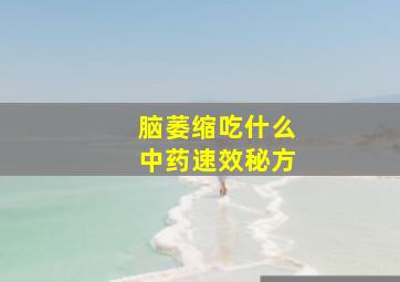 脑萎缩吃什么中药速效秘方