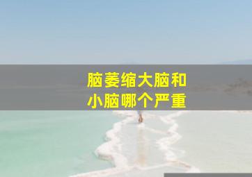 脑萎缩大脑和小脑哪个严重