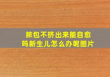 脓包不挤出来能自愈吗新生儿怎么办呢图片