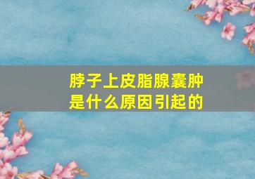 脖子上皮脂腺囊肿是什么原因引起的