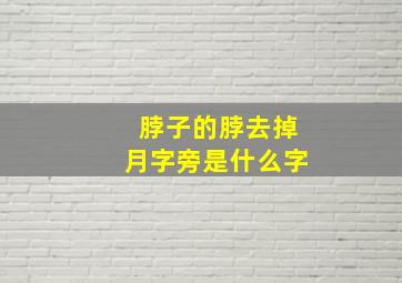 脖子的脖去掉月字旁是什么字