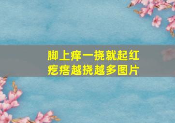 脚上痒一挠就起红疙瘩越挠越多图片