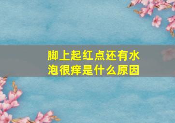 脚上起红点还有水泡很痒是什么原因