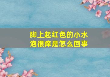 脚上起红色的小水泡很痒是怎么回事