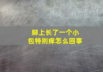 脚上长了一个小包特别痒怎么回事