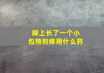 脚上长了一个小包特别痒用什么药