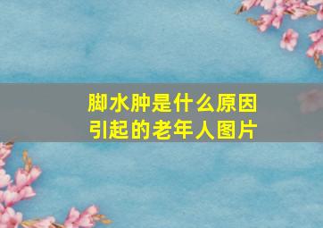 脚水肿是什么原因引起的老年人图片