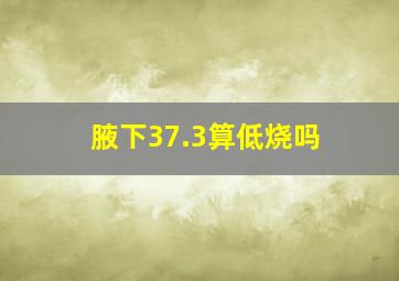 腋下37.3算低烧吗