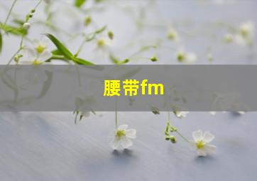 腰带fm