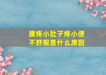 腰疼小肚子疼小便不舒服是什么原因