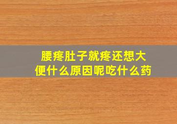 腰疼肚子就疼还想大便什么原因呢吃什么药