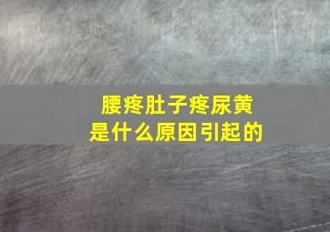 腰疼肚子疼尿黄是什么原因引起的