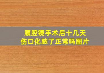 腹腔镜手术后十几天伤口化脓了正常吗图片